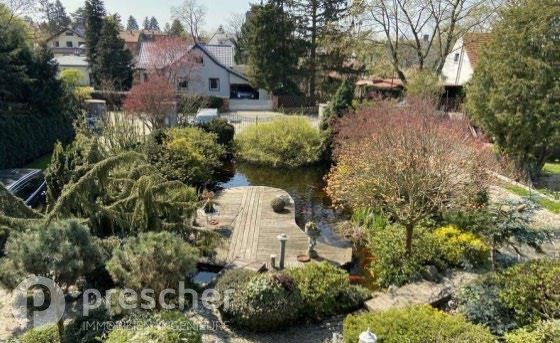 Blick in den Garten