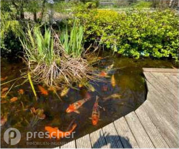 Koi-Teich