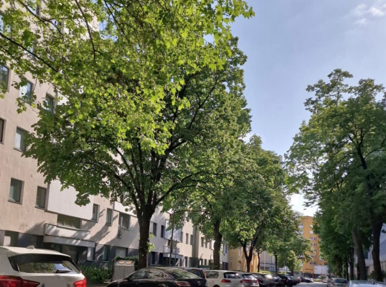 Blick in die Burggrafenstraße